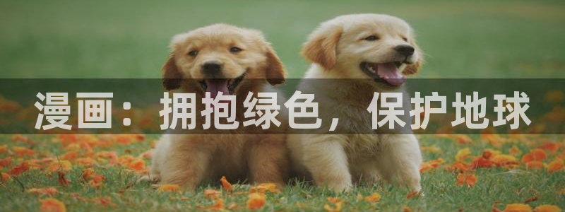 电子游艺jdb变脸