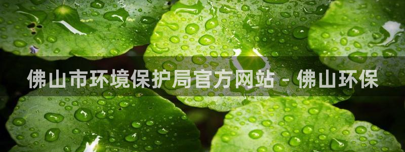 jdb电子游戏有多坑