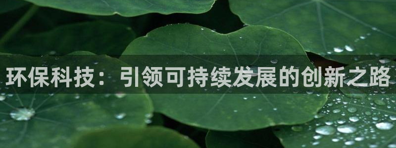 jdb变脸2
