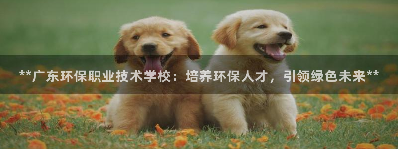 jdb电子游戏官方网站