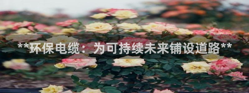 jdb电子平台地址大全