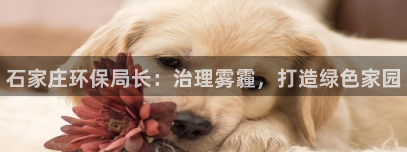jdb大奖视频
