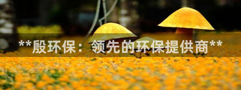 JDB电子大奖视频