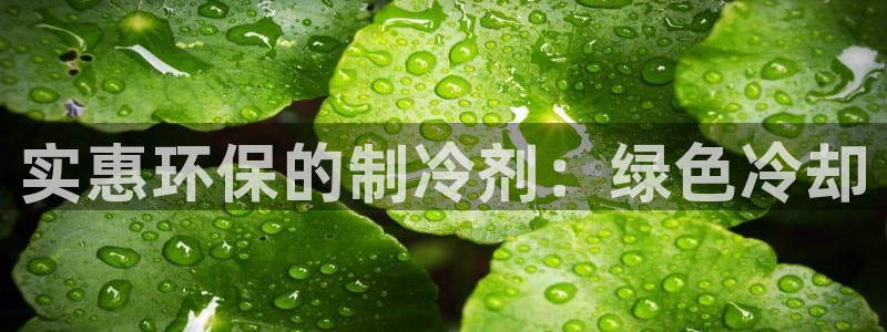 JDB电子娱乐官网