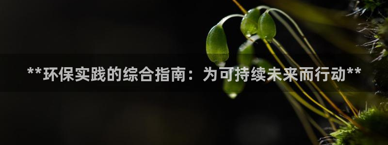 JDB平台是什么