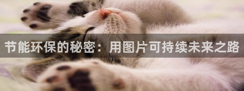 jdb台湾黑熊技巧