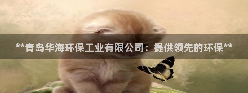 jdb电子游戏平台网址大全