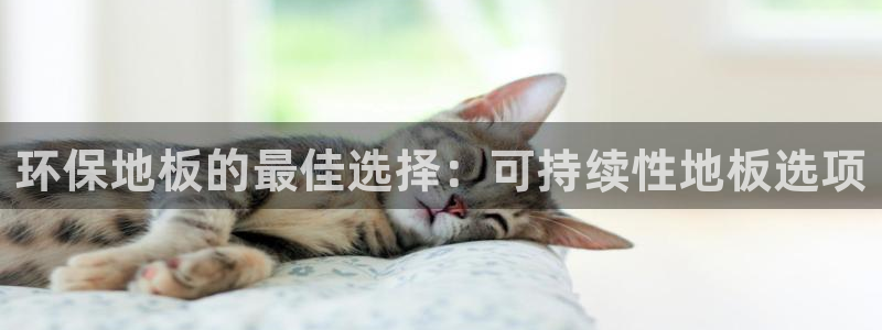 jdb五龙捕鱼1800倍