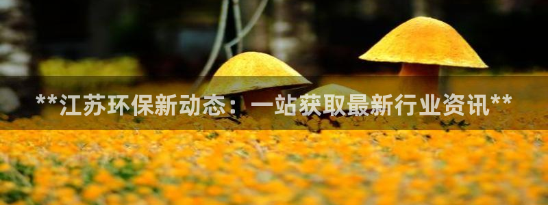 jdb电子技巧金刚