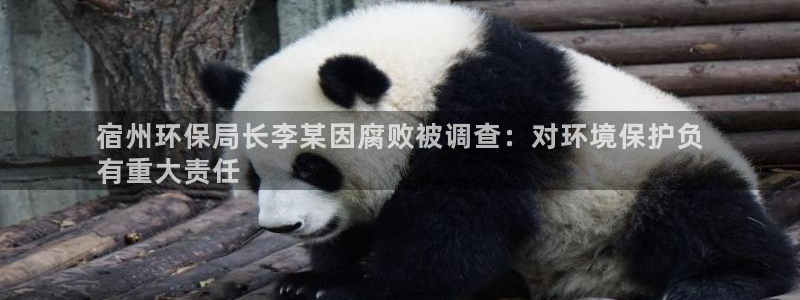jdb电子金刚