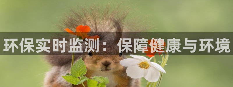 JDB电子王牌