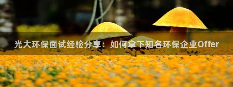 JDB游戏官方网站 - JDB电子平台地址大全