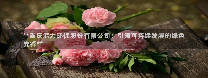 Jdb电子模拟器