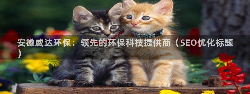 jdb电子金刚