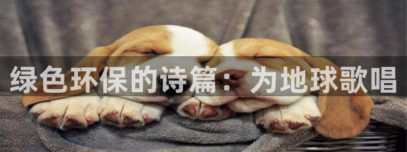 Jdb电子怎么赢不了