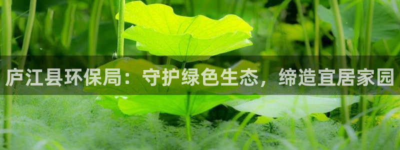 jdb电子下载