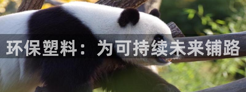 JDB游戏太假